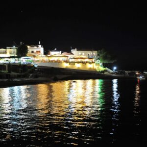 MHN_4498